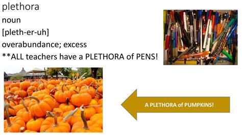 plethora noun .